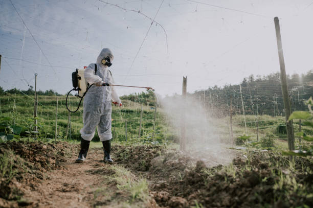 Best Best Pest Control Companies  in Malvern, PA
