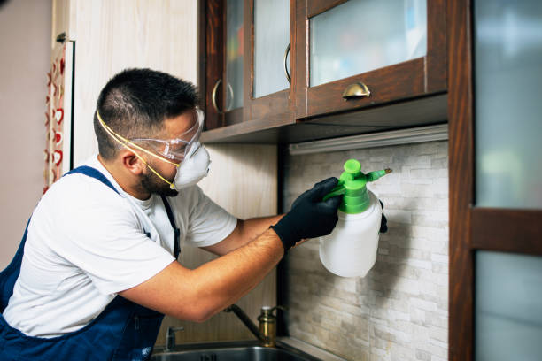 Best Pest Control Near Me in Malvern, PA
