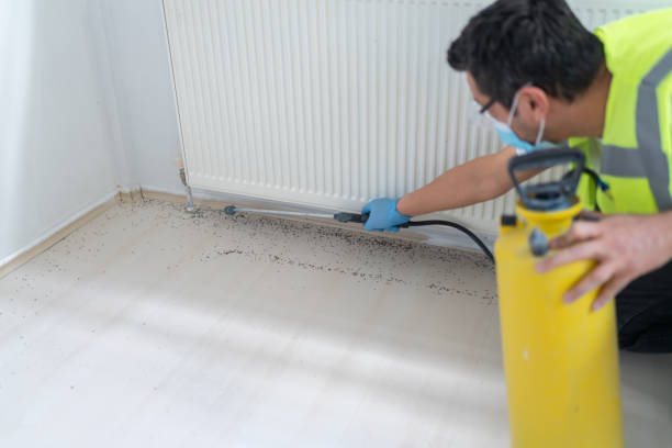 Best Cockroach Control Services  in Malvern, PA